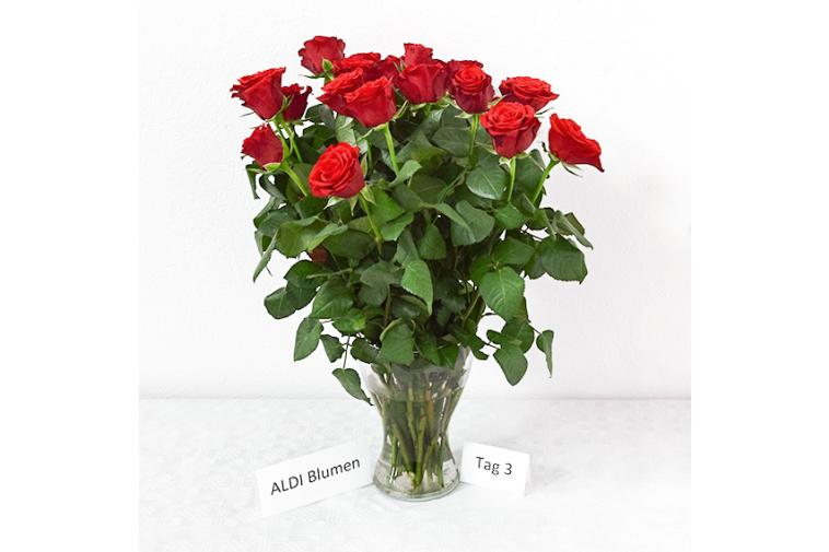 Rosenstrauß von ALDI Blumen - Tag 3