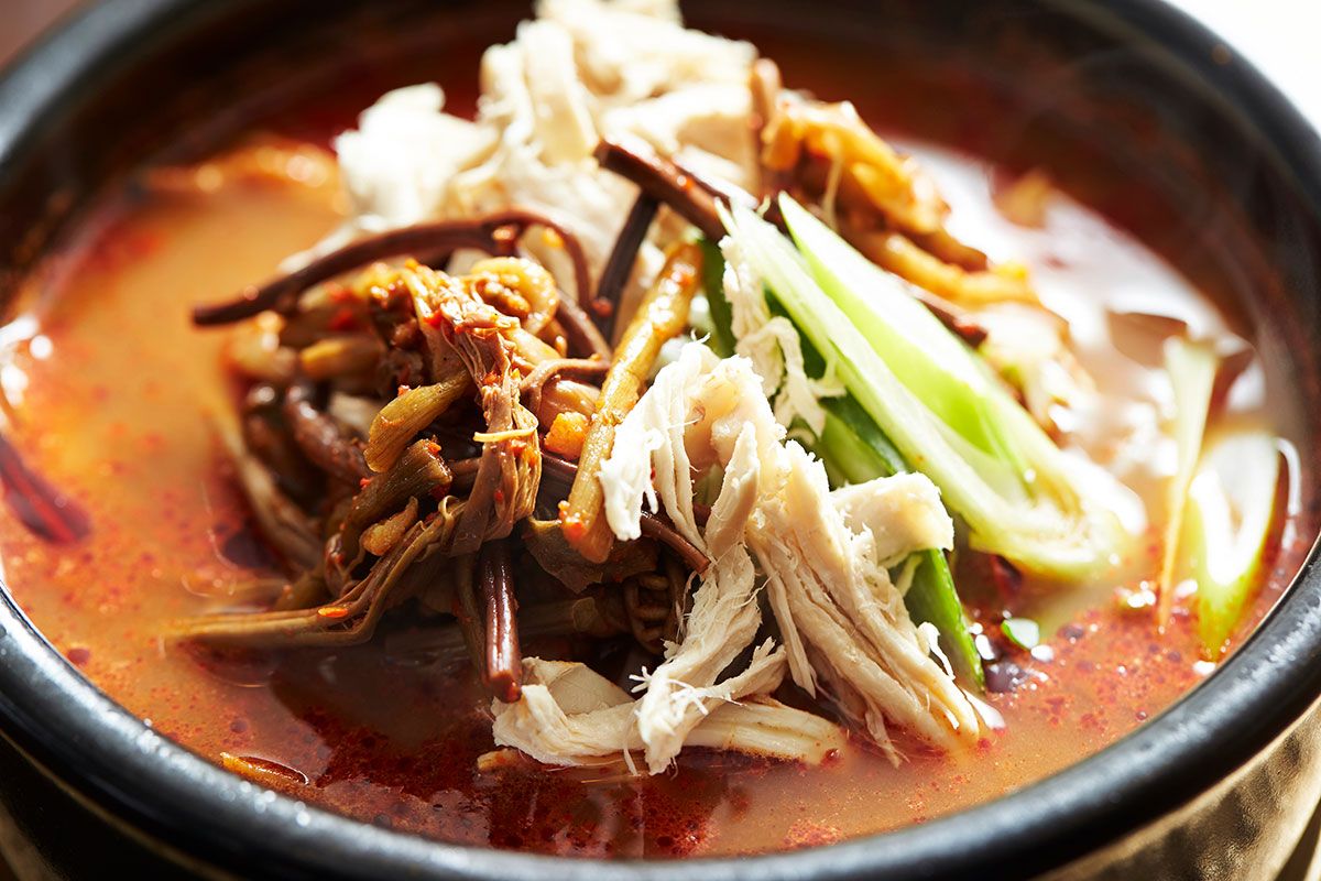 schuessel mit koreanischer rindleischsuppe yukgaejang