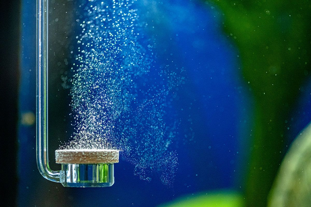fischen bei hitze helfen-oxydator pumpt luft ins wasser