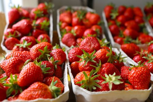 Erdbeeren in Pappschalen